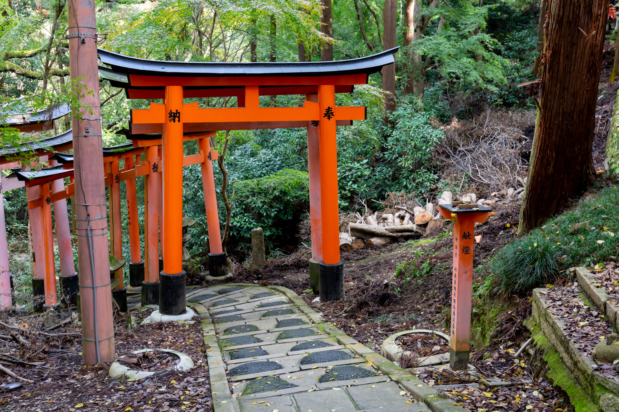 Fushimi Inari torii gates, Kyoto