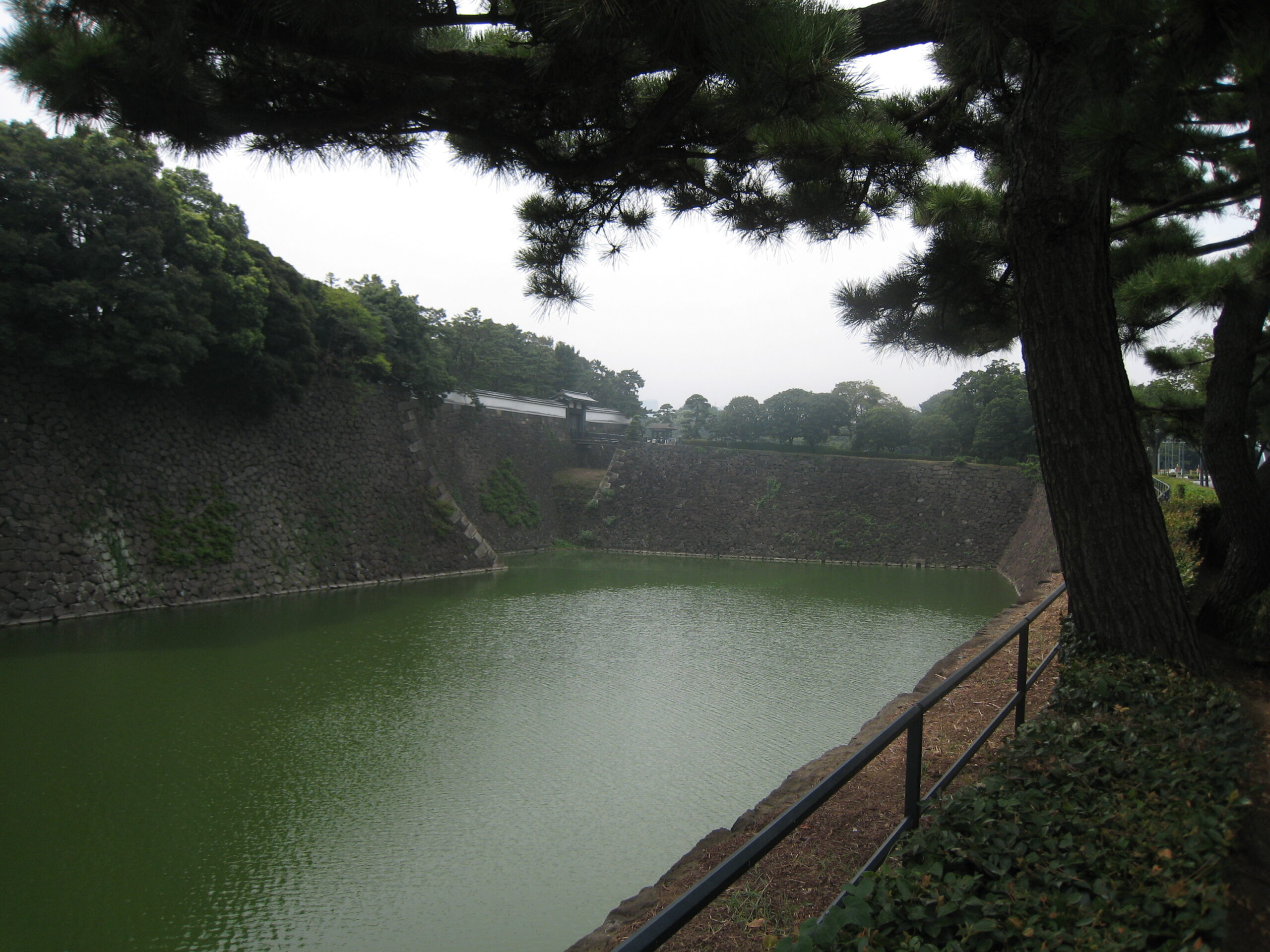 Imperial Palace Tokyo moat and gardens