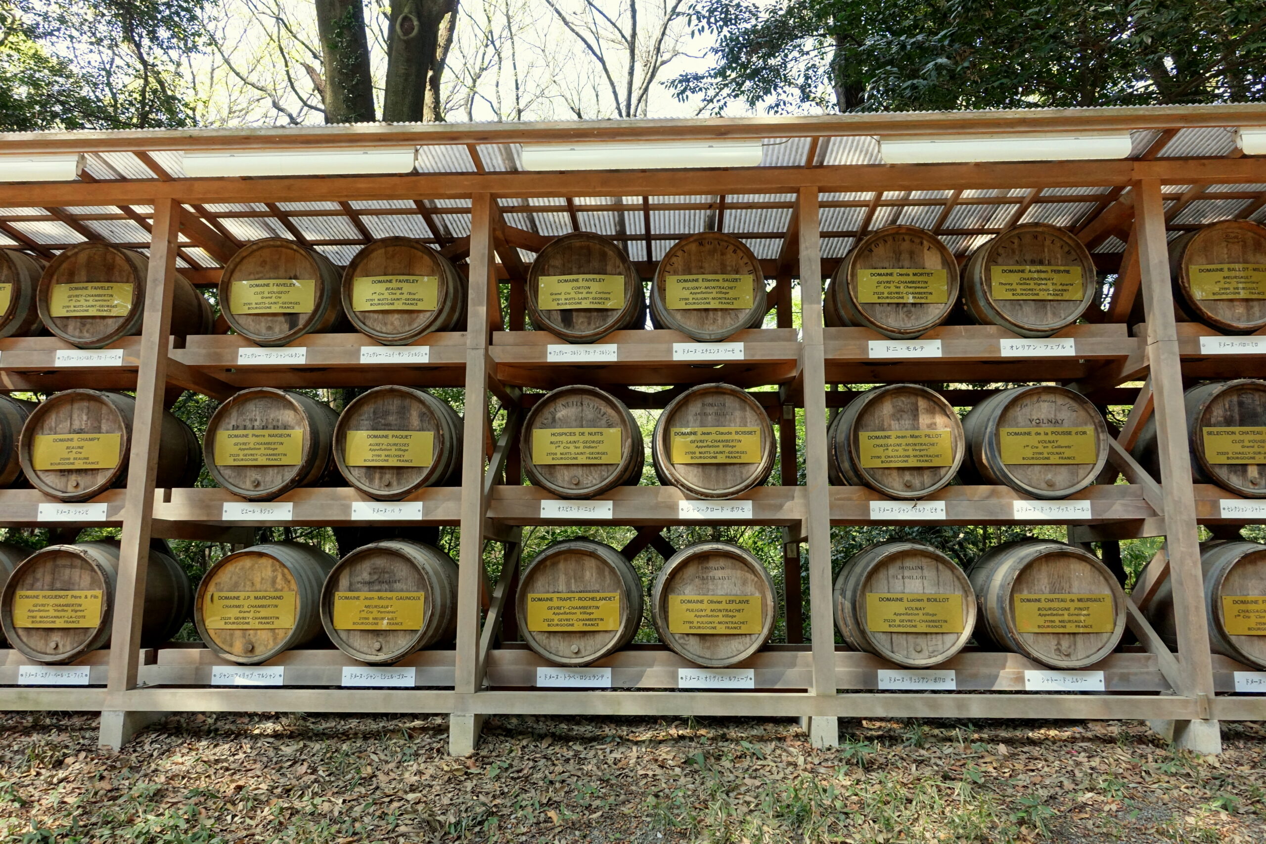 Sake and wine barrels at Meiji Jingu Shrine, Tokyo