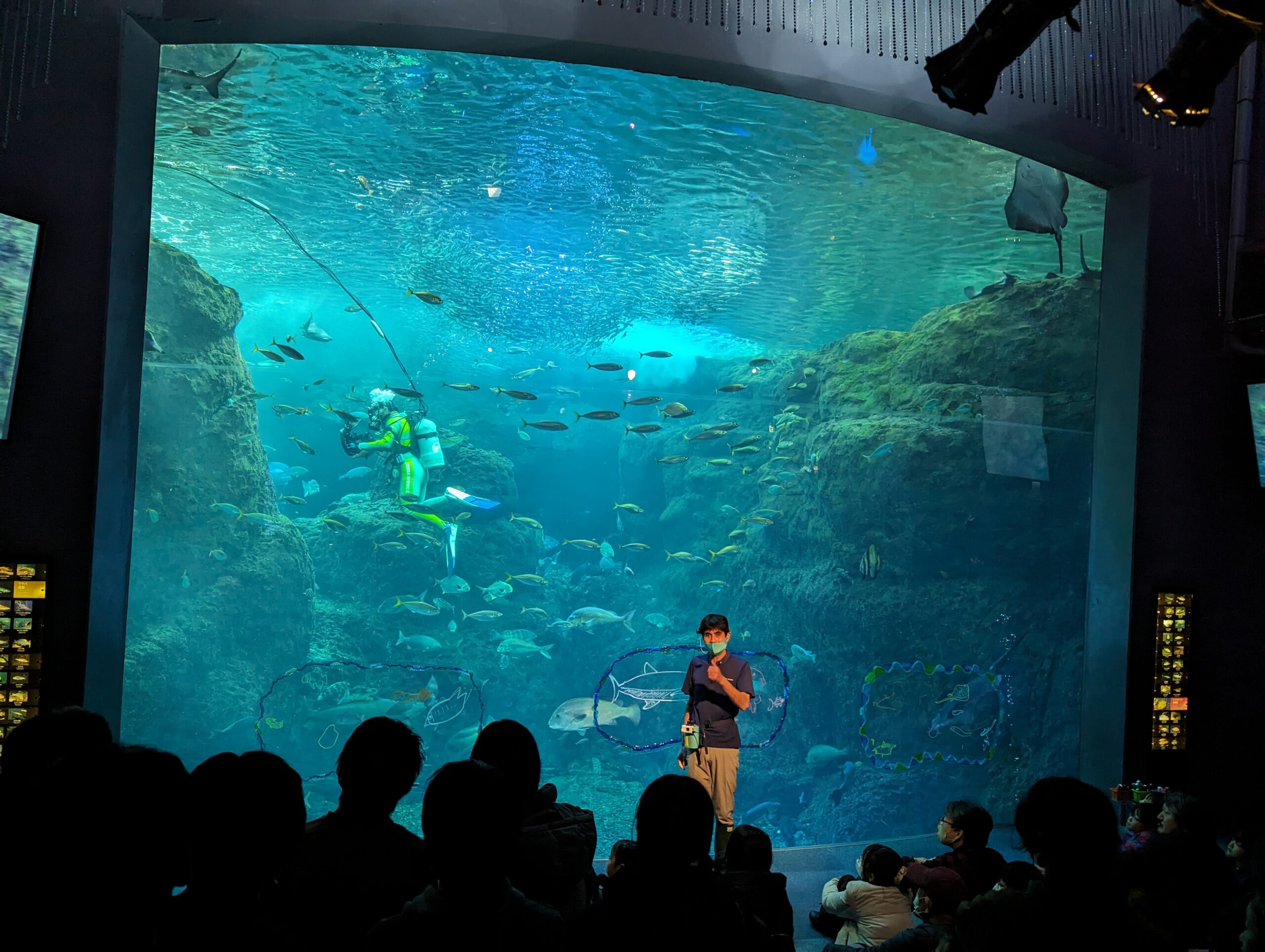 Japan aquarium fish tank marine life
