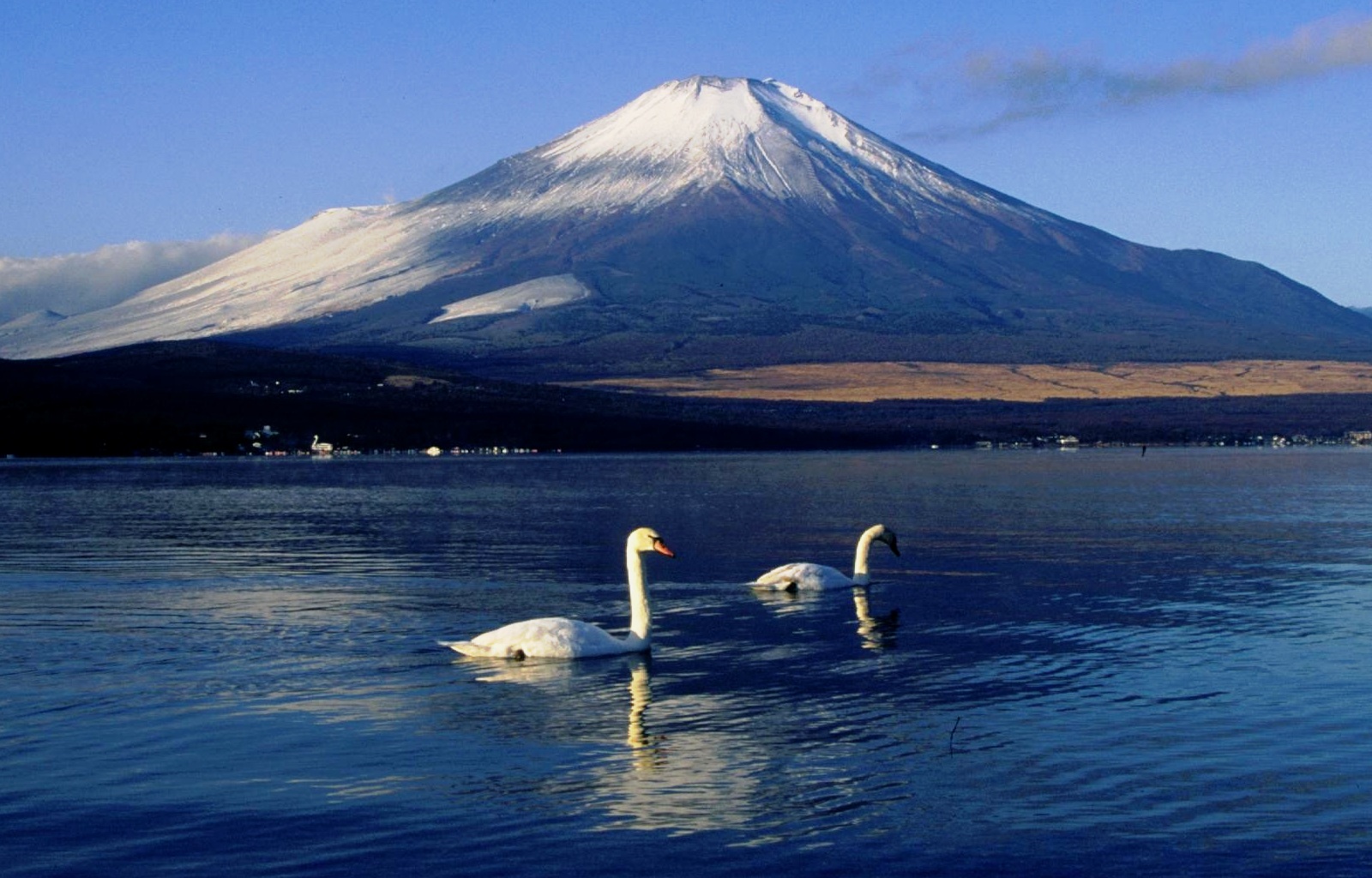 Mount Fuji reflected in Lake Yamanaka, winter