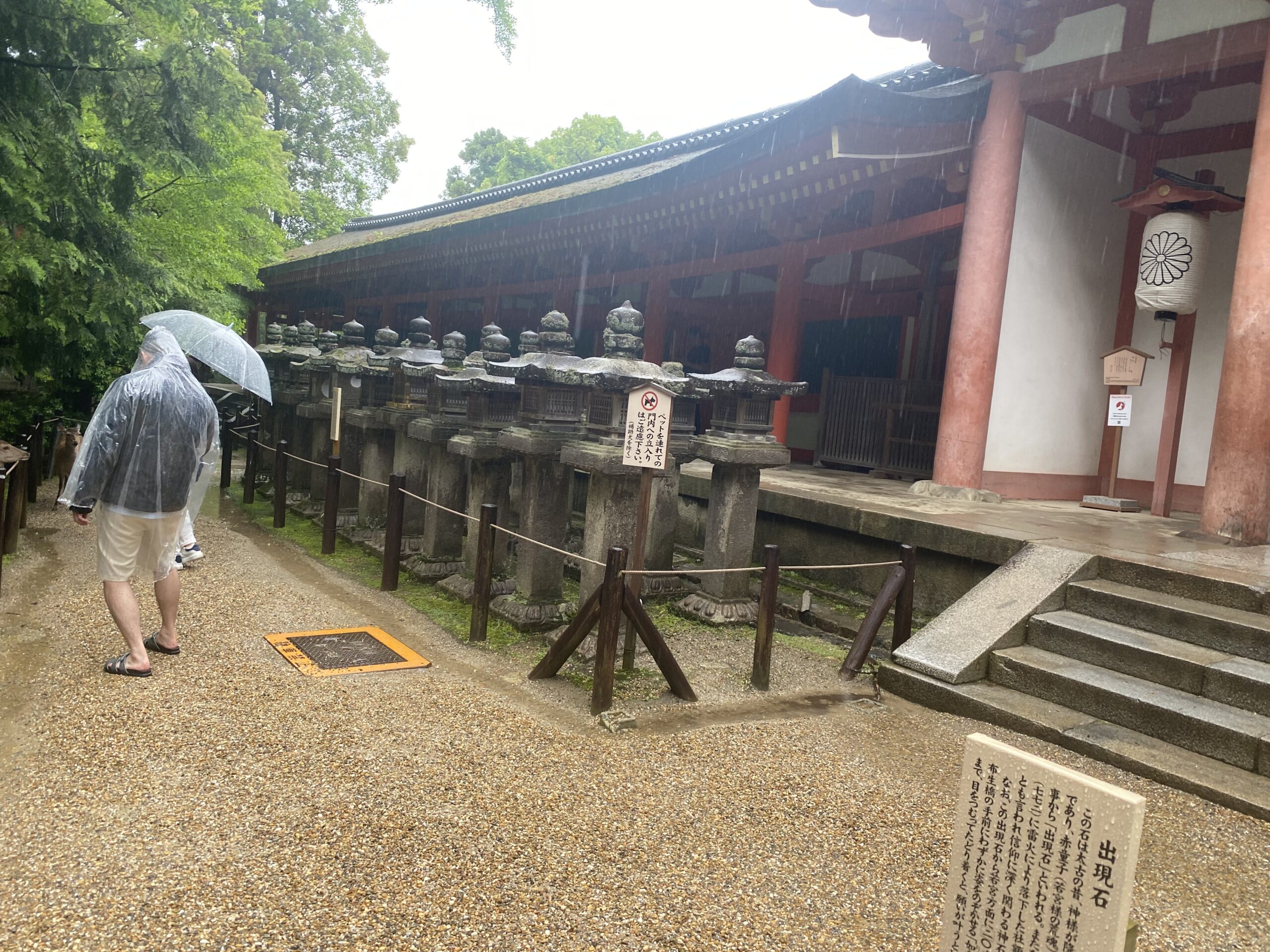 Kasuga-taisha Shrine and its lanterns in Nara