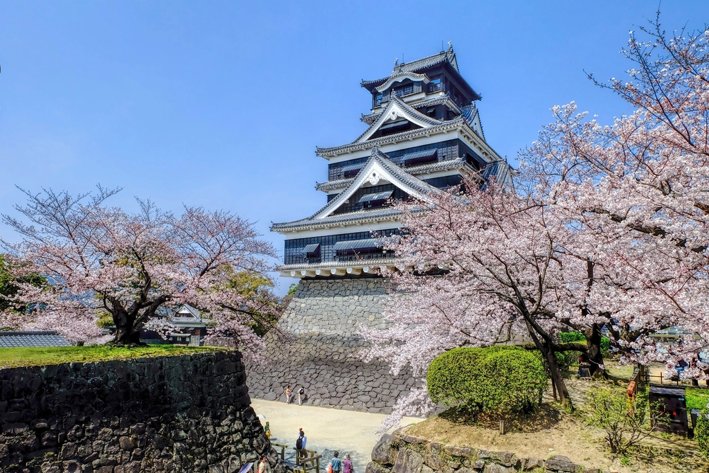 Japanese castle and cherry blossoms
