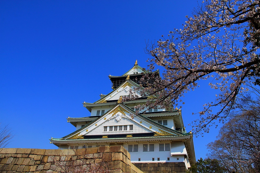 Osaka Castle Japan sakura blossom