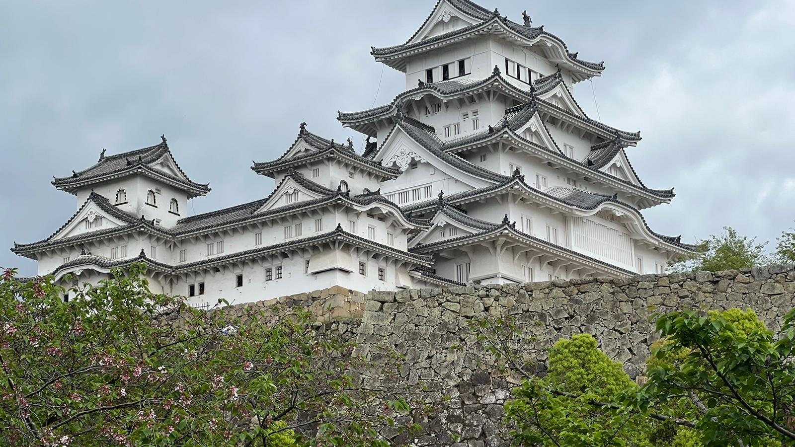 Himeji Castle with spring blossom foreground and stone rampart walls