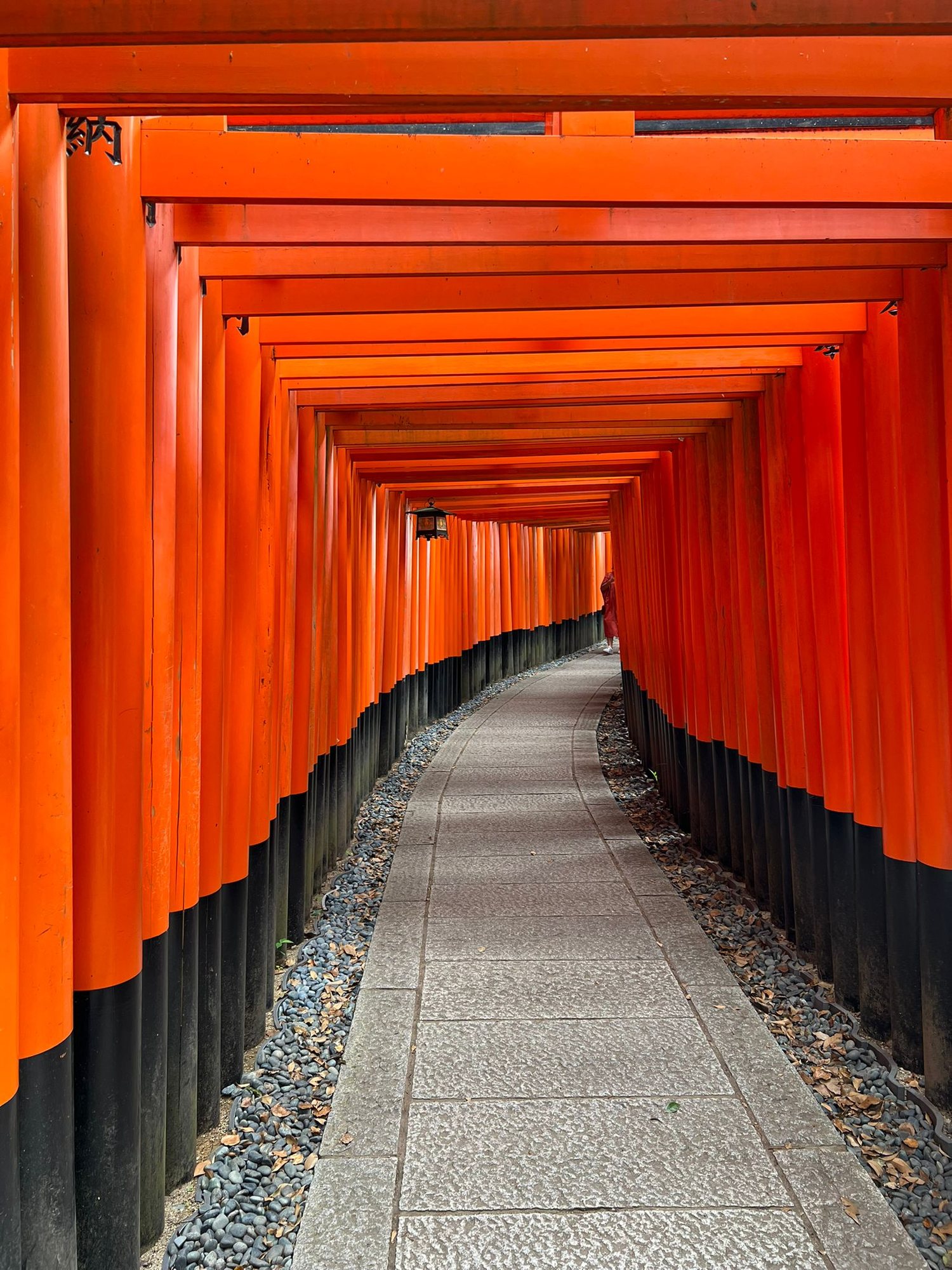 Endless vermilion torii gates of Senbon Torii at Fushimi Inari, Kyoto