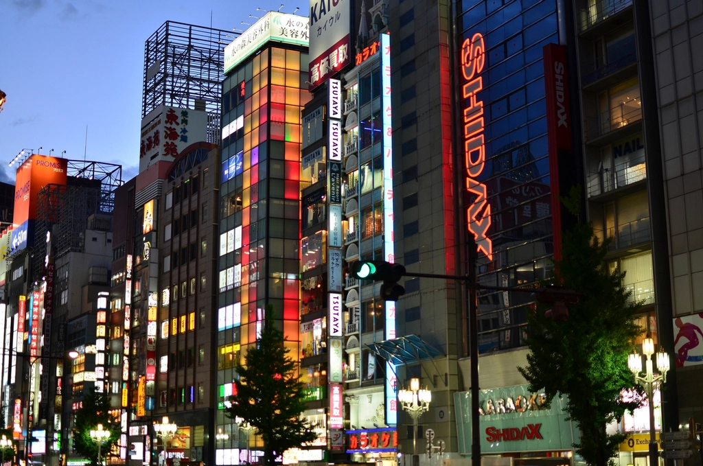 Shinjuku neon nightlife Tokyo