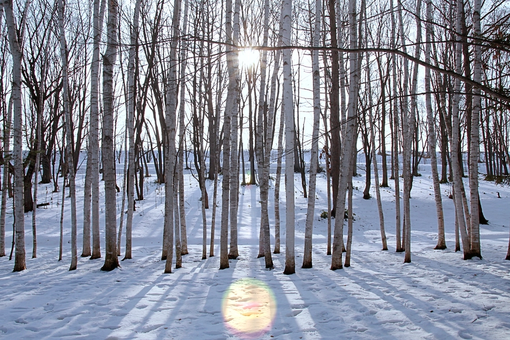 Hokkaido Japan northern landscape scenic nature